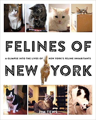Felines of New York by Jim Tews
